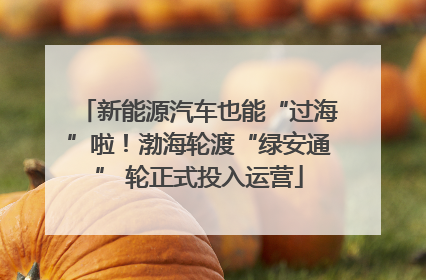 新能源汽车也能“过海”啦！渤海轮渡“绿安通” 轮正式投入运营